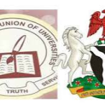 Police clears the air on alleged sexual assault on Seyi Tinubu’s rumoured sister, begins investigation