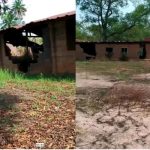 False Men Of God Will Suffer Before Dying – Pastor Giwa Warns