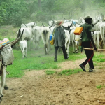 $25bn Nigeria-Morocco Gas Pipeline Tops Tinubu’s Agenda – Senator Ibrahim