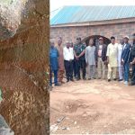 Akwa Ibom Gov okays recruitment of 3,000 workers