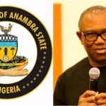 Nigerians Lose Over N75bn Annually To Non-Refundable Visa Fees