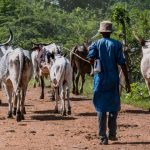 24 Abducted Kebbi Schoolgirls Regain Freedom