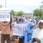 Sowore criticises police over arrest of bloggers linked to Elumelu divorce report